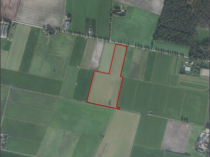 Luttenbergerweg 