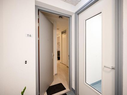 Pygmalionstraat 116