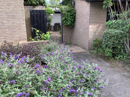 Vlierlaan 228