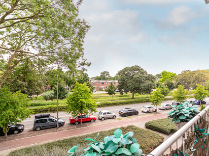 Burgemeester De Zeeuwstraat 262
