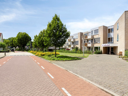 Burgemeester Galleestr 27