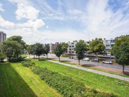 Steenzicht 79
