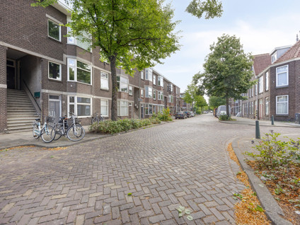 Groen Van Prinstererstraat 35