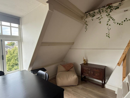 Wittevrouwensingel 46C