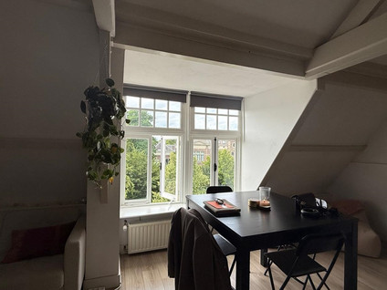 Wittevrouwensingel 46C