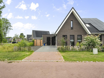 Kastanjehout 1
