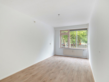 Van Bassenstraat 114