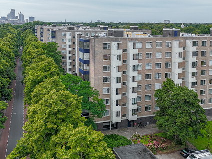 Vlaskamp 494