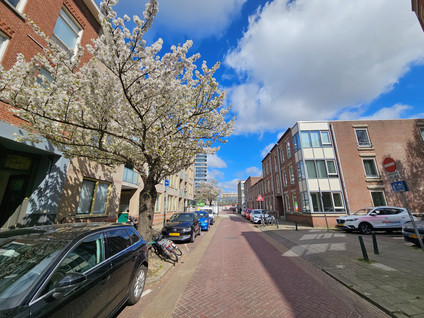 Singel 163A1