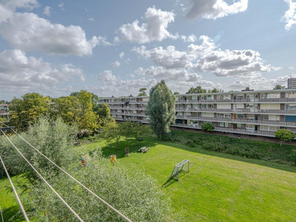 van der Werffstraat 246