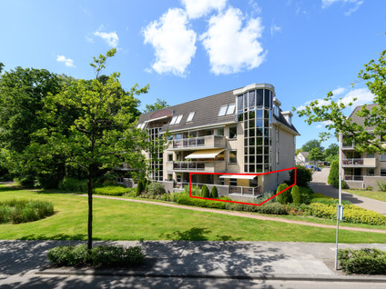 Bellevue 5