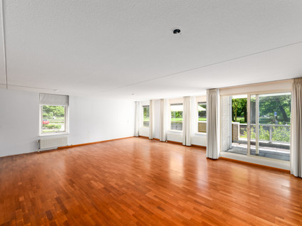 Bellevue 5