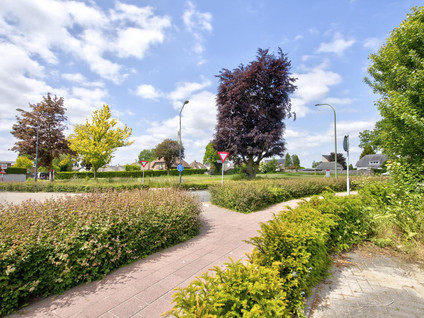 Generaal Maczeklaan - Alphenseweg K2 