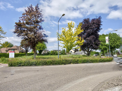 Generaal Maczeklaan - Alphenseweg K2 