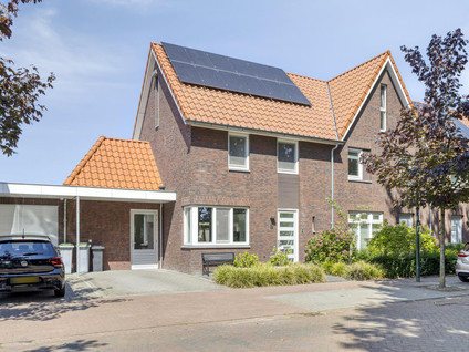 Postelein 20