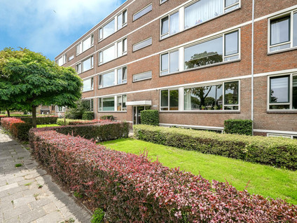 Bredenoord 167