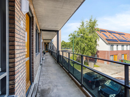 Vlindertuin 17