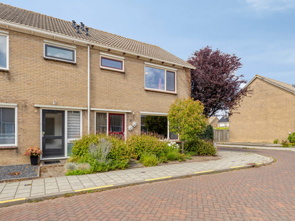 Schorerstraat 37
