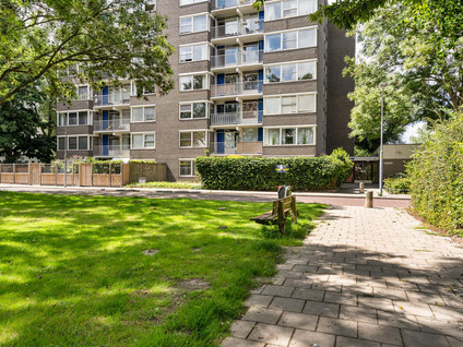 Graan voor Visch 17237