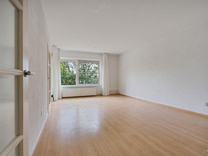 Graan voor Visch 17237