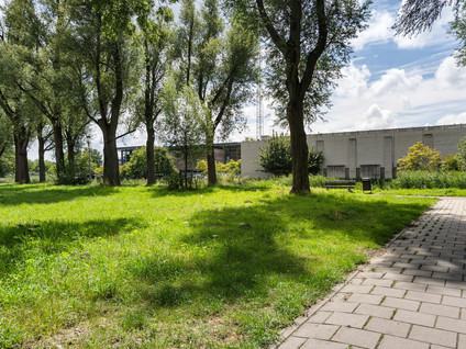 Graan voor Visch 17237