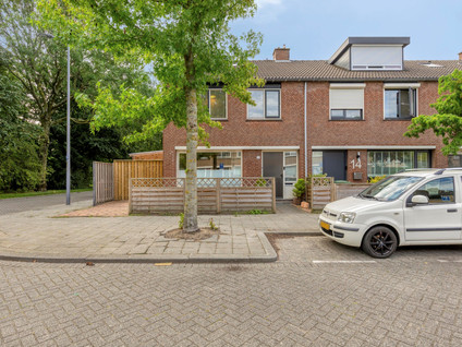 Heidekruid 12