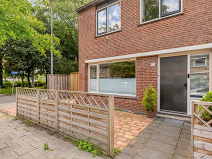 Heidekruid 12
