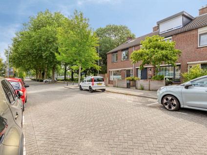 Heidekruid 12
