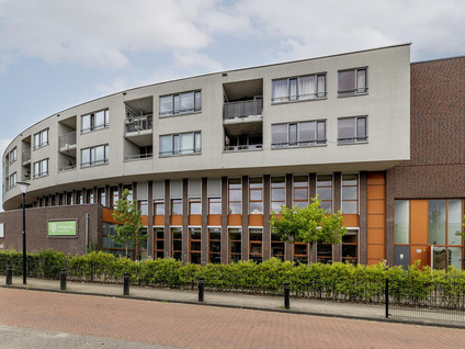 Iepenwede 42