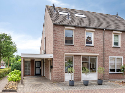 De Zeis 41