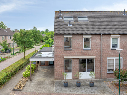 De Zeis 41