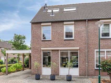 De Zeis 41