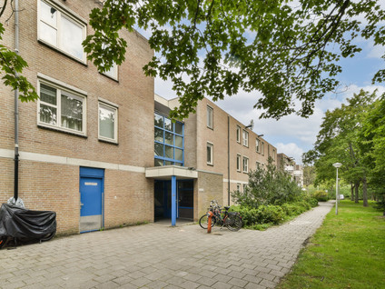 Wamelstraat 119