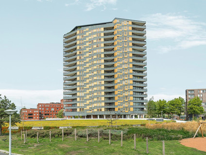 Ecuplein 65
