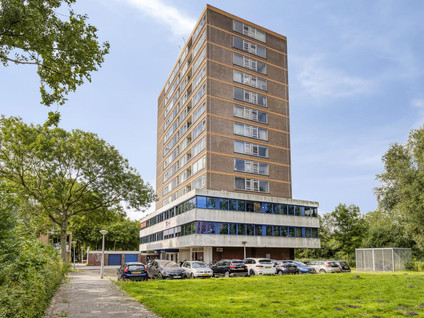 Maassluisstraat 550