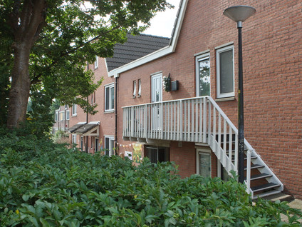 Steenen Dijck 79
