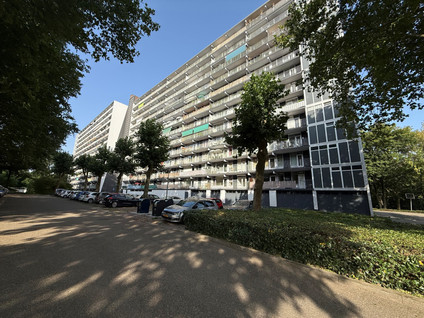 Henri Dunantstraat 333