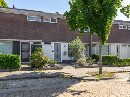Hoeckelumstraat 3