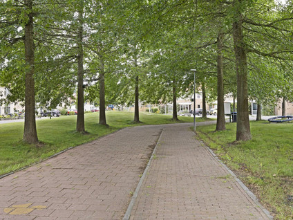 Hendricus Krijthestraat 29