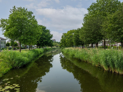 Avenue Carnisse 180