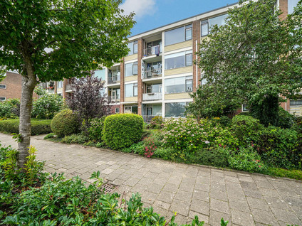 Gerard Doustraat 65
