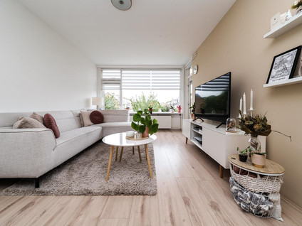 Gerard Doustraat 65