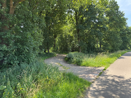 Monseigneur Geurtsstraat 