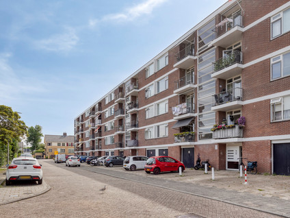 Troelstrastraat 46