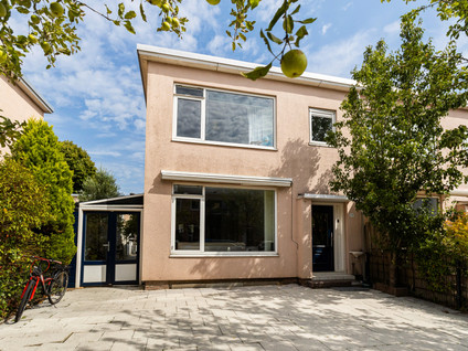 Van Hallstraat 19