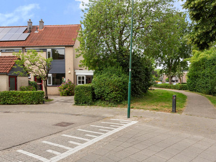 Amstel 156