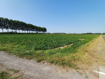 Driekwartweg 2 - Sas van Gent