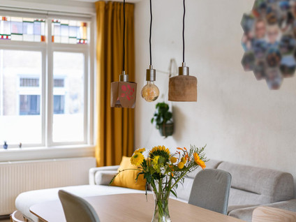 Boshamerstraat 28
