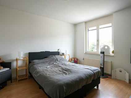 Weideklokje 12