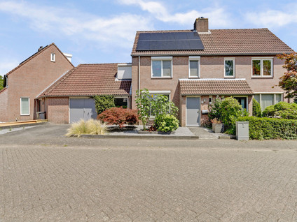 Boekweit 53